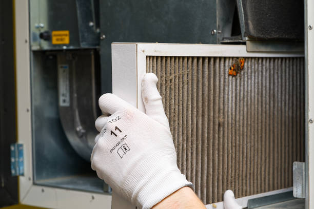 Best Best Air Duct Cleaning Company  in Hornell, NY