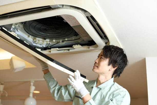Best Professional Duct Cleaning Services  in Hornell, NY
