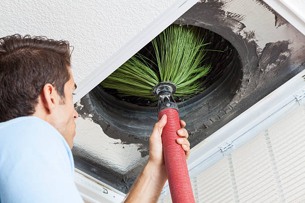 Best HVAC Duct Inspection Services  in Hornell, NY